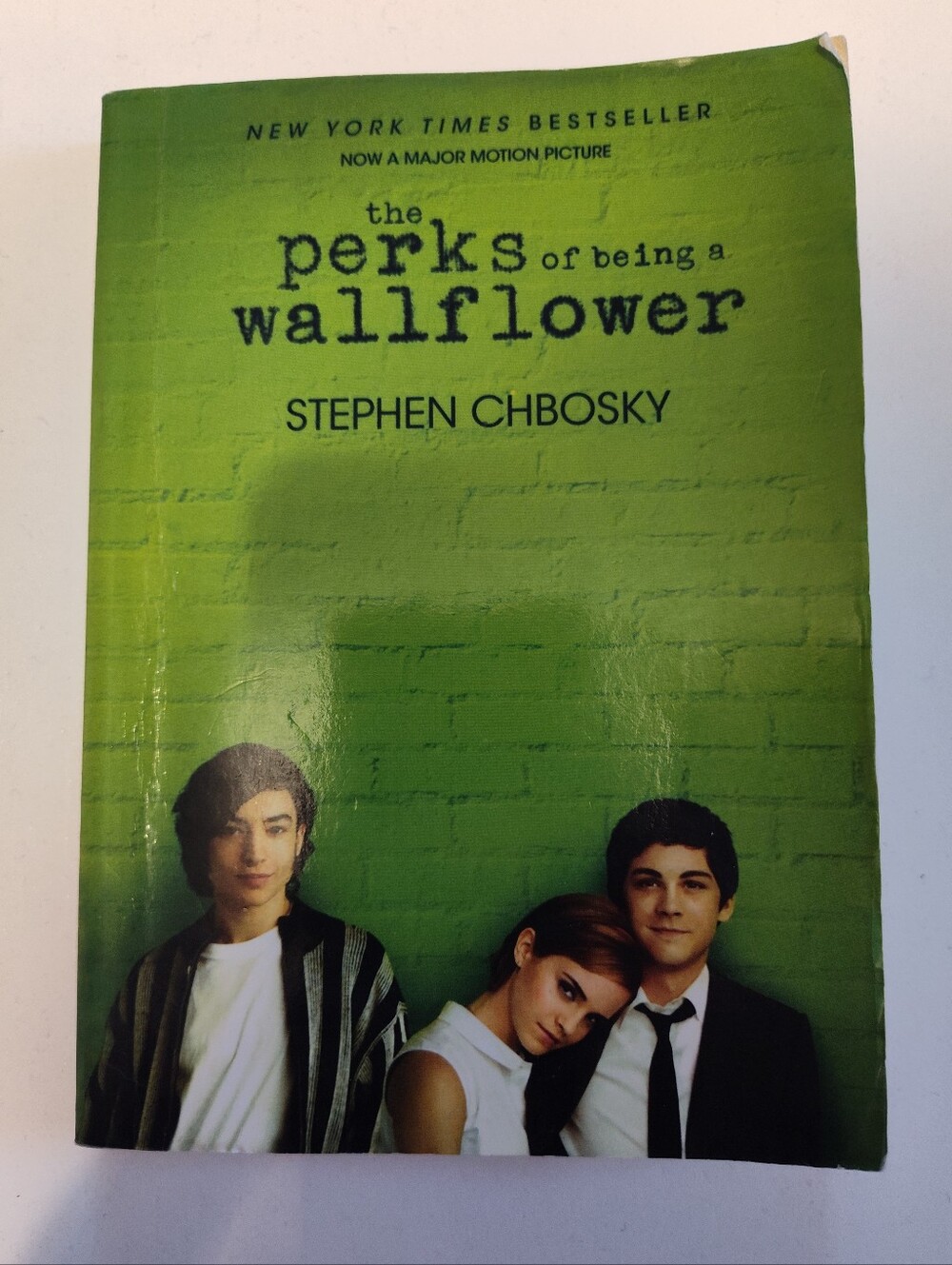 The Perks of Being a Wallflower by Stephen Chbosky (Paperback)